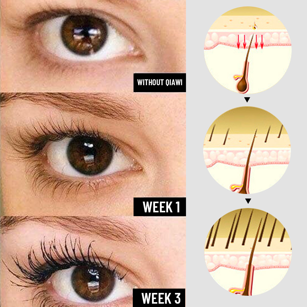 QIAWI™ Lash Opulence Growth Serum