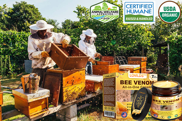 LOVILDS™ Bee Venom All-in-One Cream 👩⚕️US Dermatologist Approved