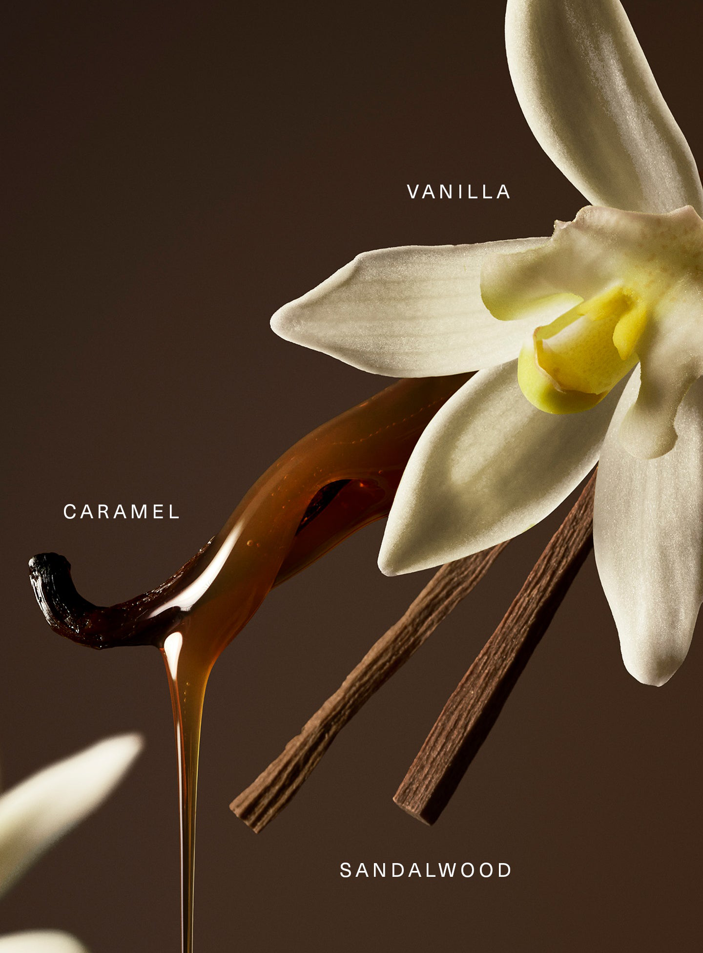Beauty Perfume