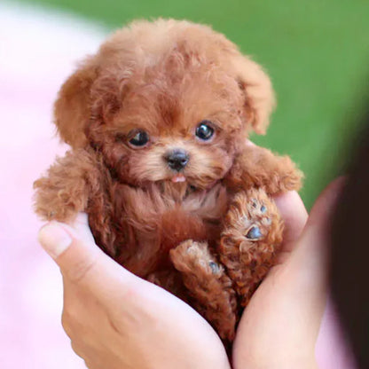🐶🌭Nico - My Realistic Robot Puppy