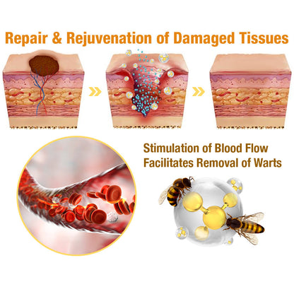 🐝LOVILDS™ TagRecede Bee  Poison Treatment Spray